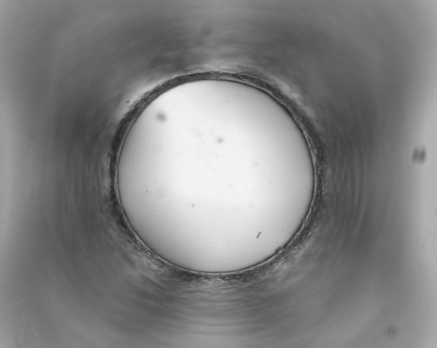 X0000090461214200708102104