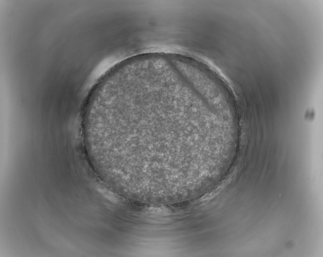 X0000090461215200708102104