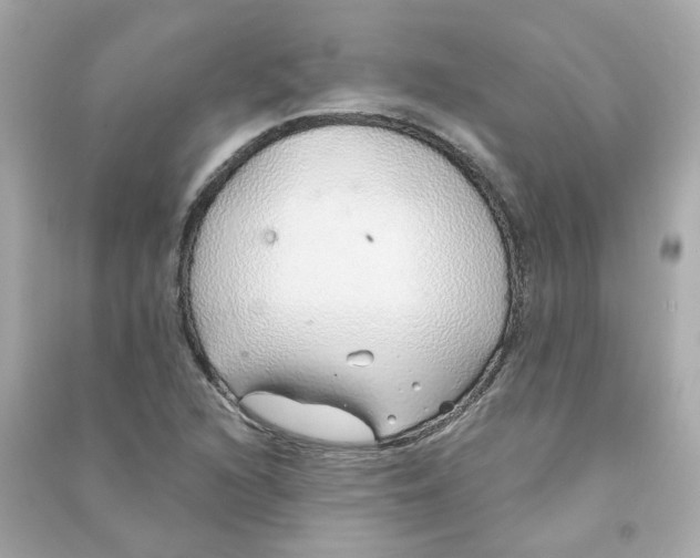 X0000090461216200708102104