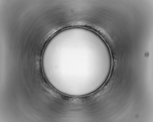 X0000090461217200708102104