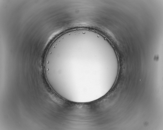X0000090461218200708102104