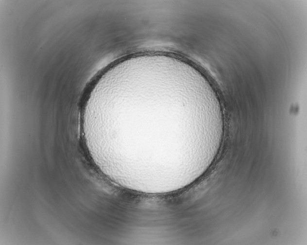 X0000090461219200708102104