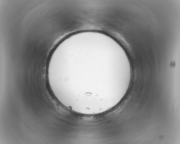 X0000090461220200708102104