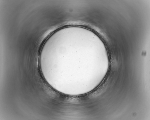 X0000090461221200708102104
