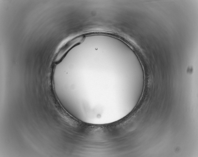 X0000090461222200708102104