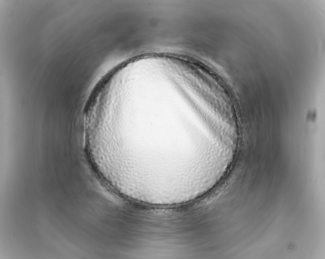 X0000090461223200708102104