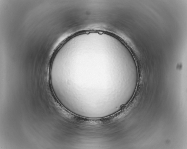 X0000090461224200708102104