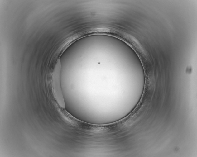 X0000090461225200708102104