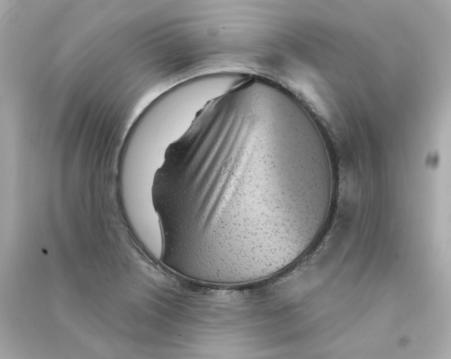 X0000090461226200708102104