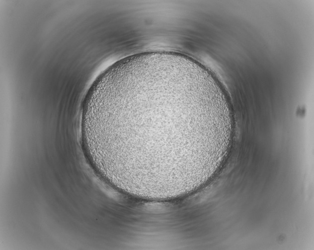 X0000090461227200708102104