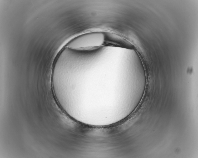 X0000090461228200708102104