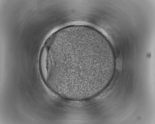 X0000090461229200708102104