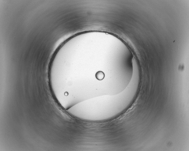 X0000090461230200708102104