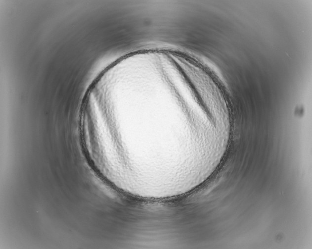 X0000090461231200708102104