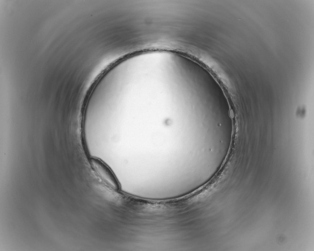X0000090461232200708102104