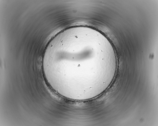 X0000090461233200708102104
