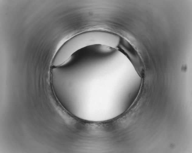 X0000090461234200708102104