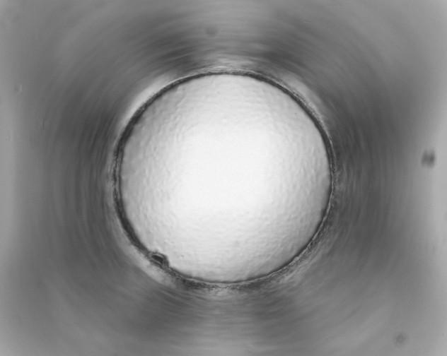 X0000090461235200708102104