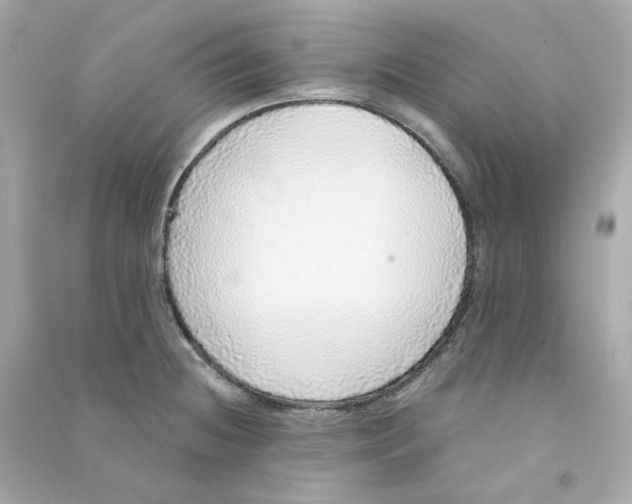 X0000090461236200708102104