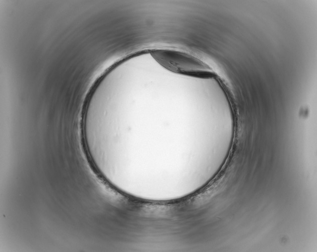 X0000090461237200708102104