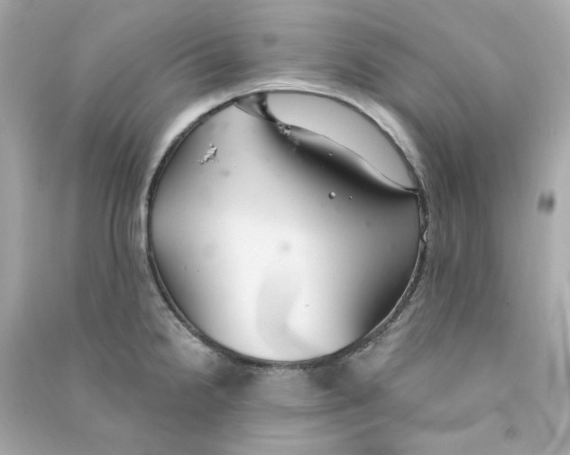 X0000090461238200708102104