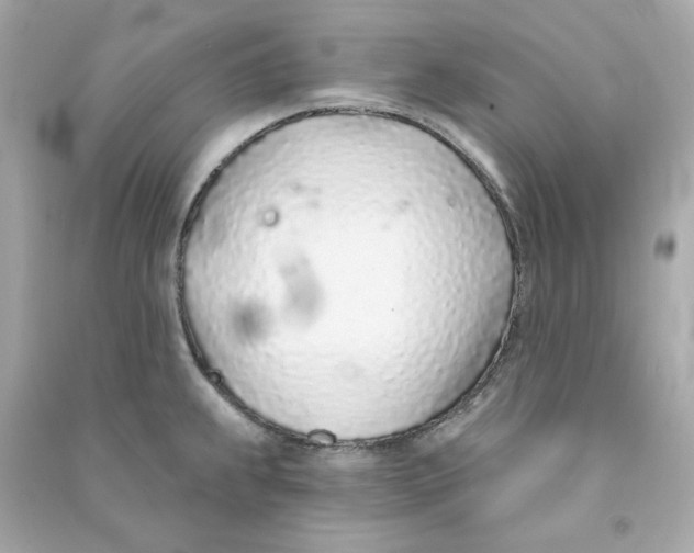 X0000090461239200708102104