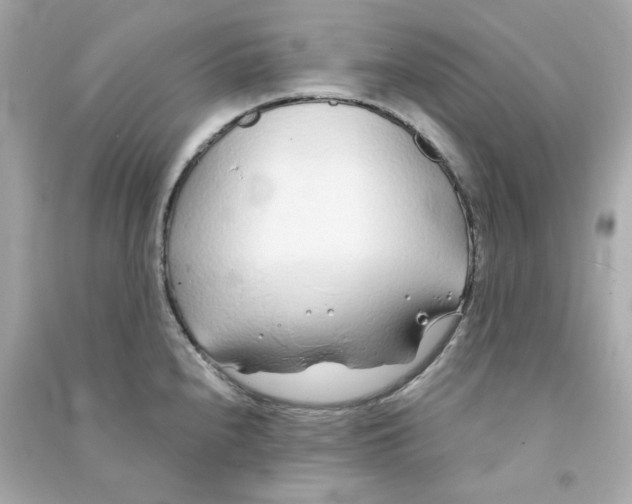 X0000090461240200708102104
