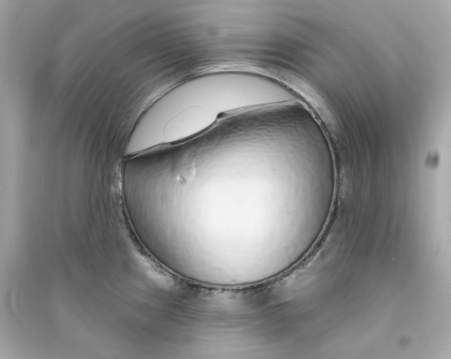 X0000090461241200708102104