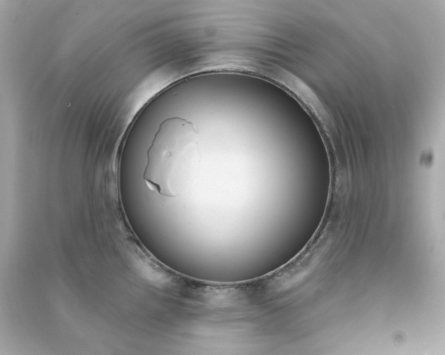 X0000090461242200708102104