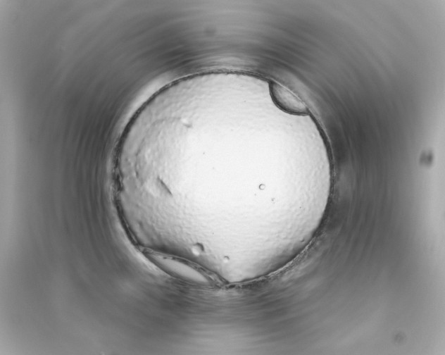 X0000090461243200708102104