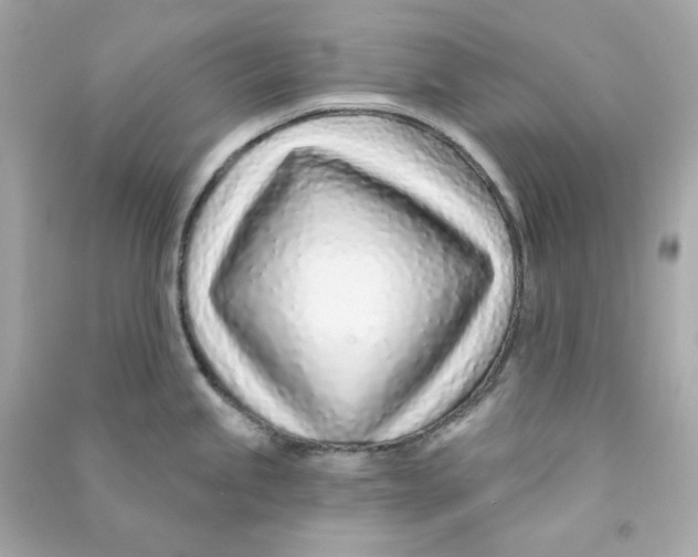 X0000090461245200708102104