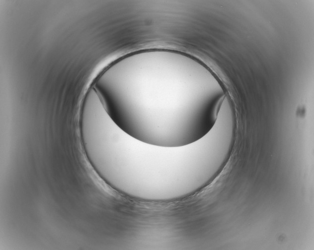 X0000090461246200708102104