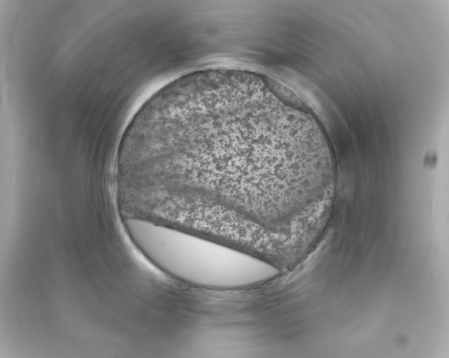 X0000090461247200708102104