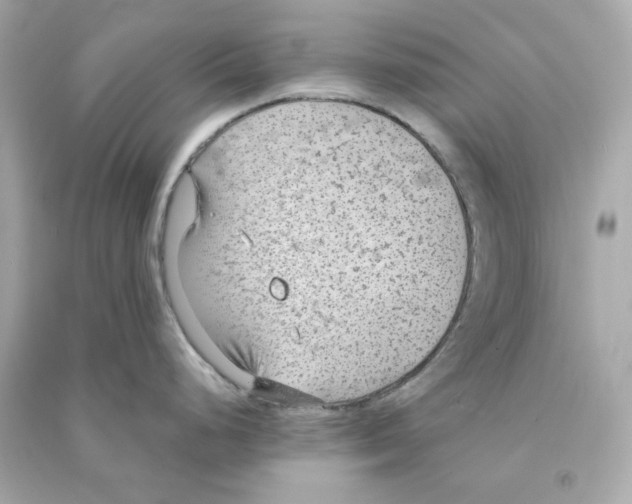 X0000090461248200708102104