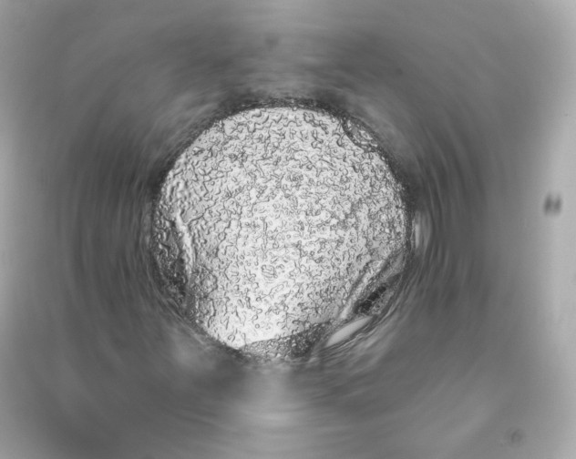 X0000090461251200708102104