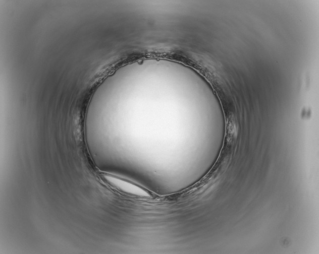 X0000090461252200708102104