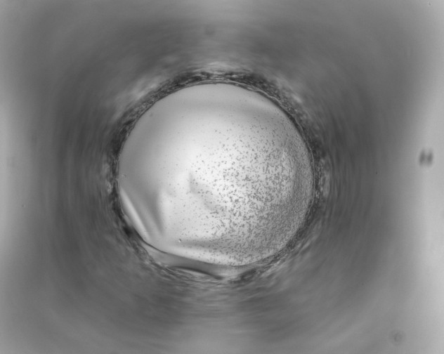 X0000090461253200708102104