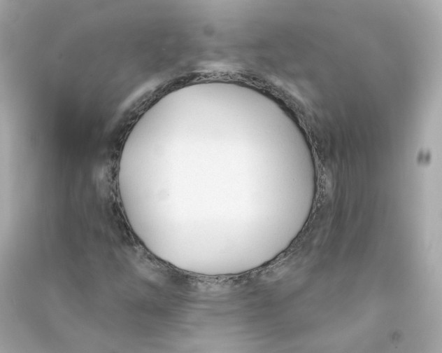 X0000090461254200708102104
