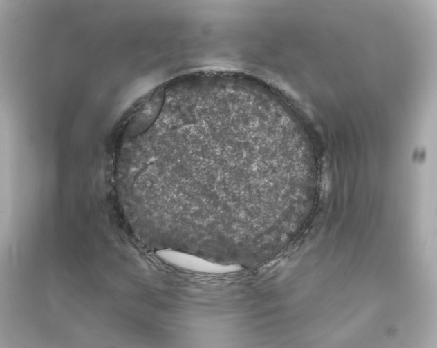 X0000090461255200708102103