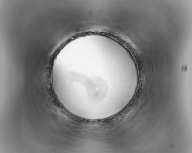 X0000090461256200708102103