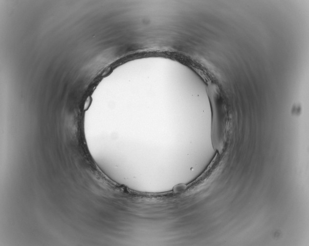 X0000090461257200708102103