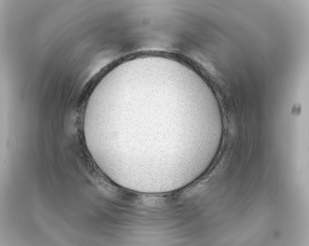X0000090461258200708102103
