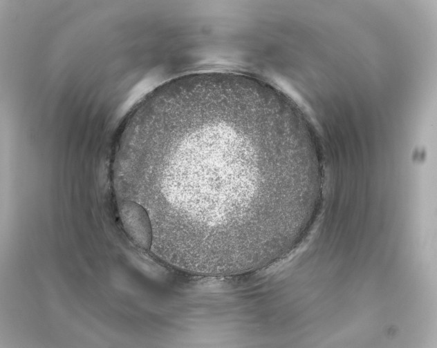 X0000090461259200708102103