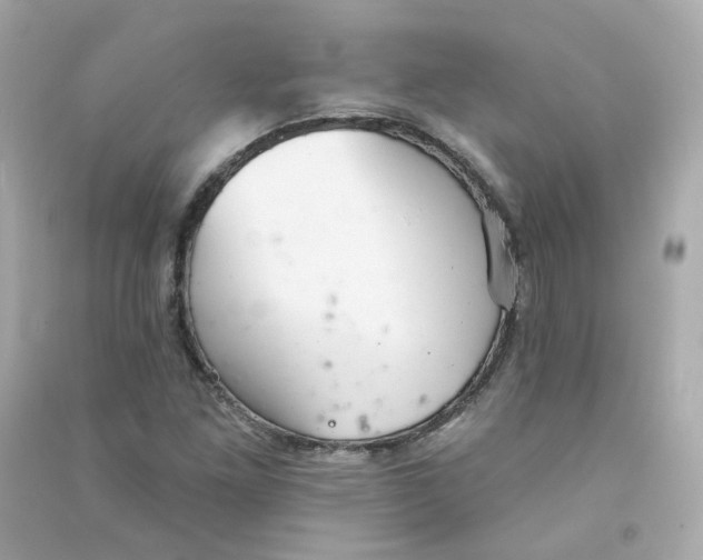 X0000090461261200708102103