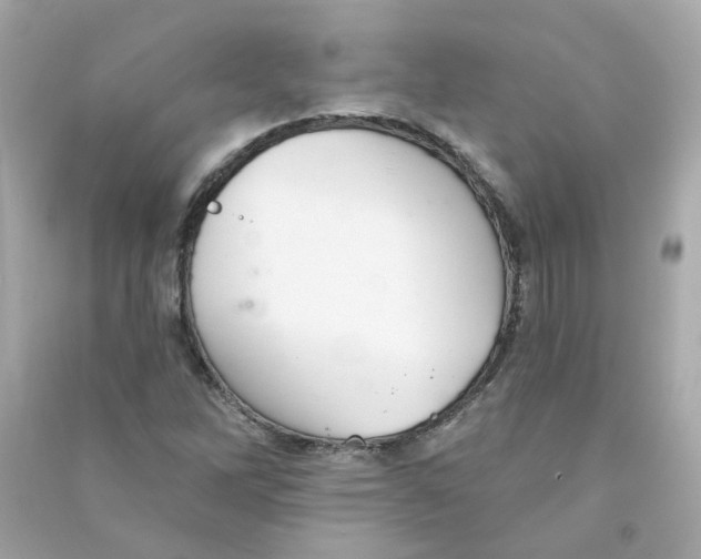 X0000090461262200708102103