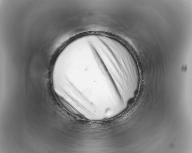 X0000090461263200708102103
