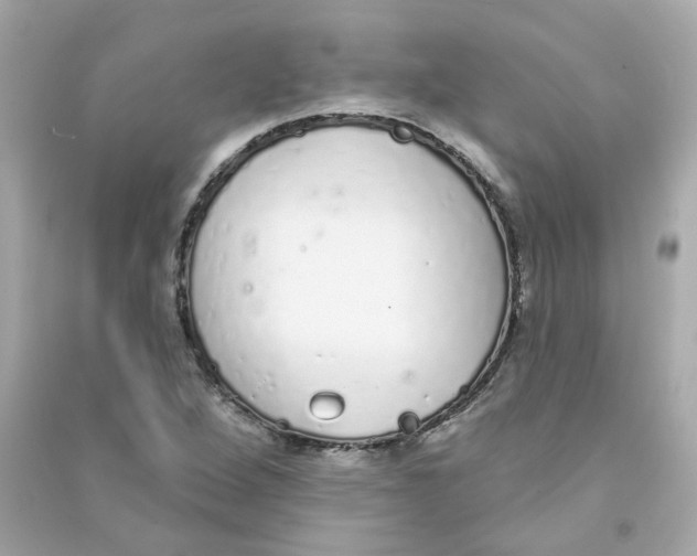 X0000090461264200708102103