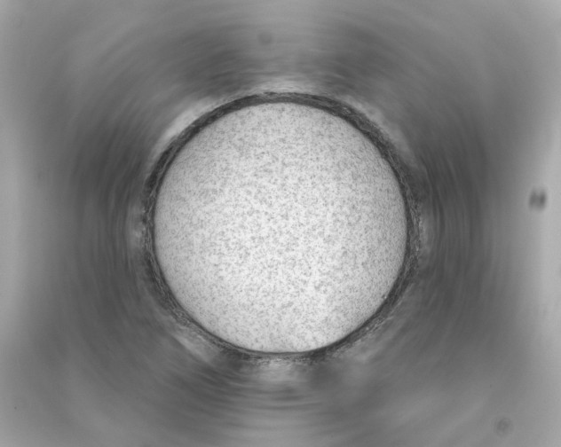 X0000090461266200708102103