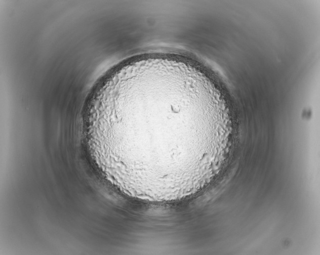 X0000090461267200708102103