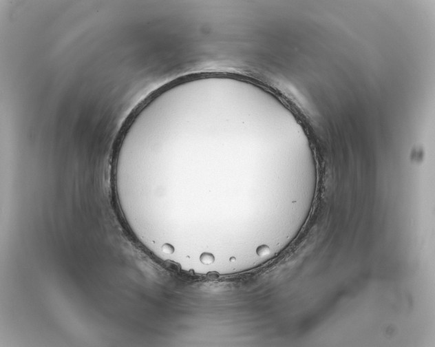 X0000090461268200708102103